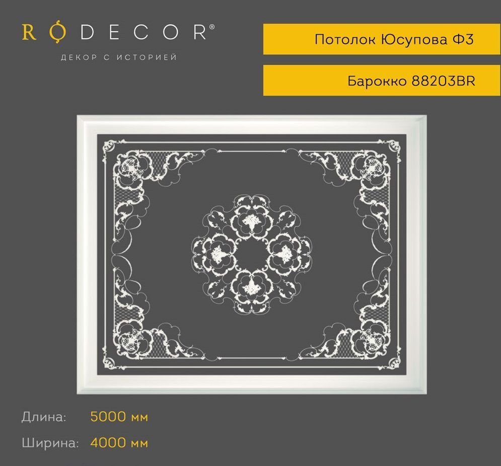 Готовые решения RODECOR 88203BR