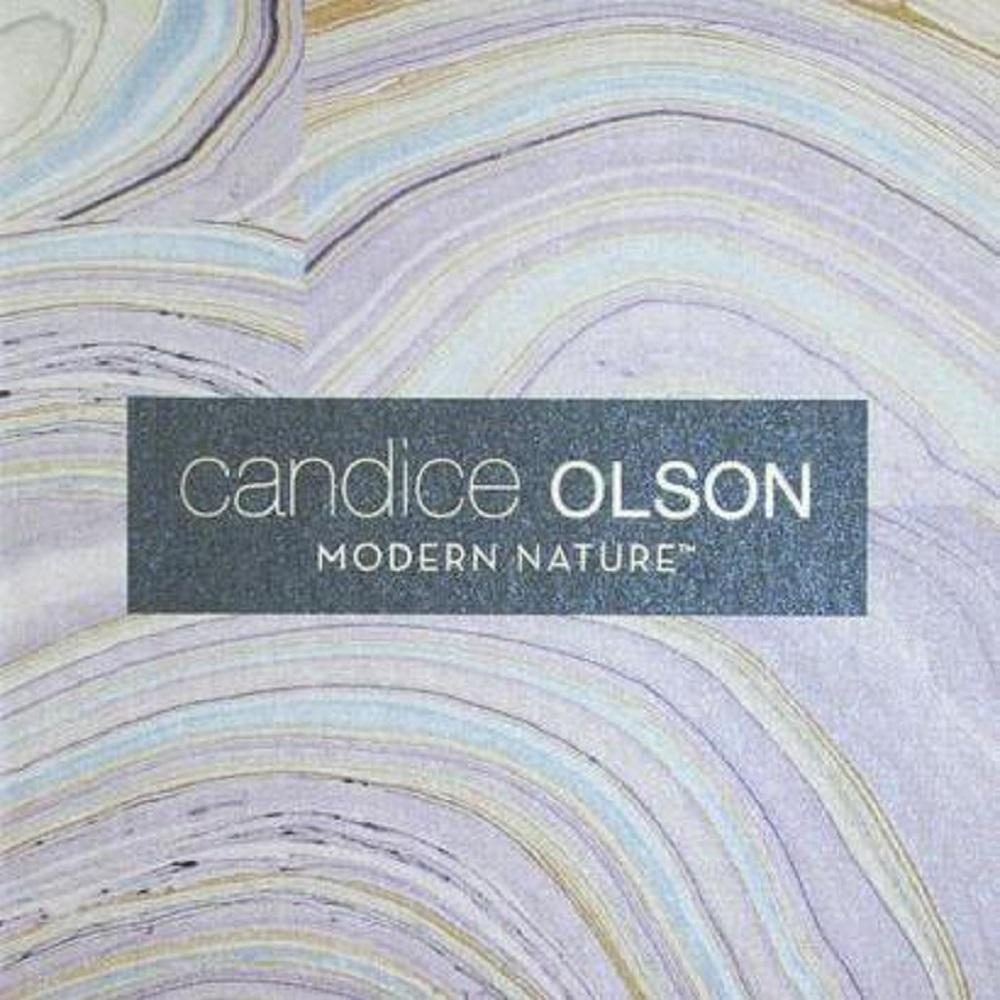 Candice Olson Modern Nature